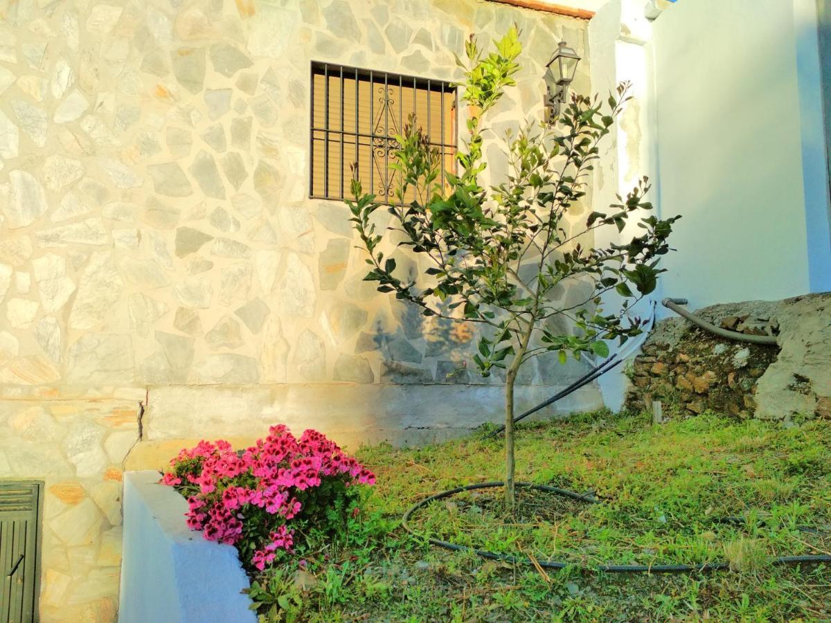 Villa Las Encinas Costa Del Sol 托罗克斯科斯塔 外观 照片