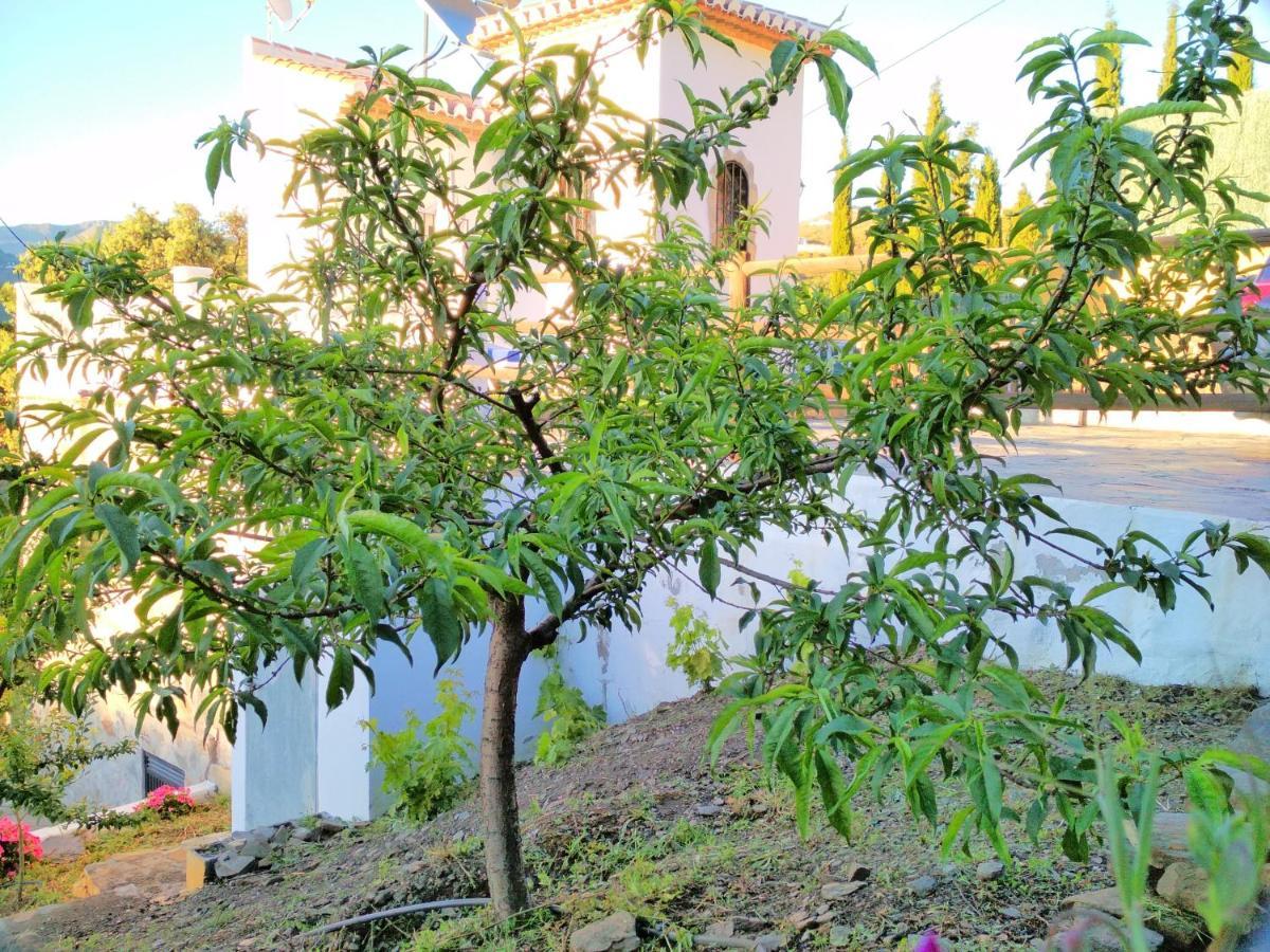 Villa Las Encinas Costa Del Sol 托罗克斯科斯塔 外观 照片