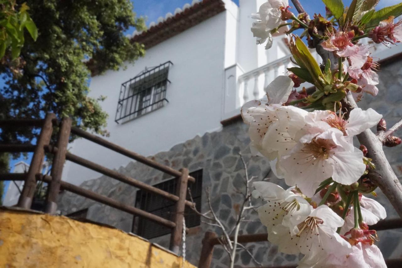 Villa Las Encinas Costa Del Sol 托罗克斯科斯塔 外观 照片